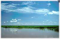Photo-Gallerie * Fluß & See - Foto-Impressionen * Fotos aus Kambodscha - Tonle Sap
